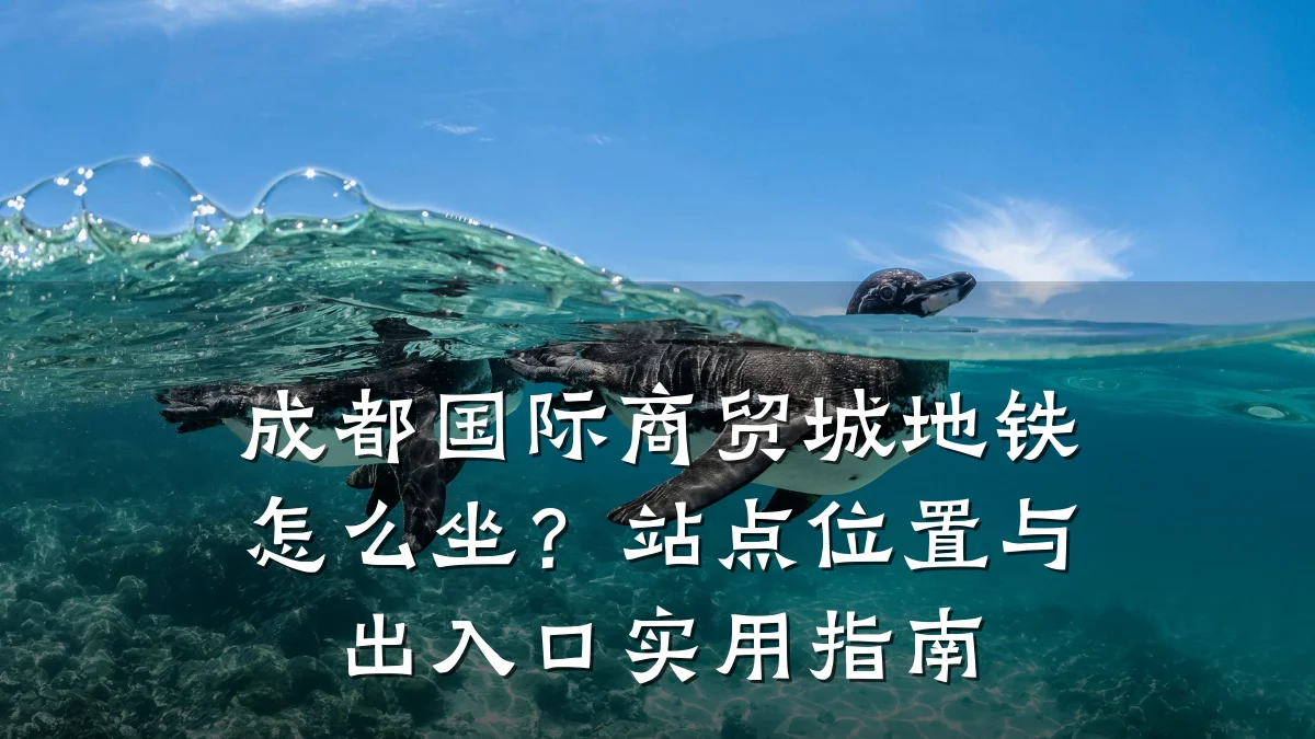 成都国际商贸城地铁怎么坐?站点位置与出入口实用指南