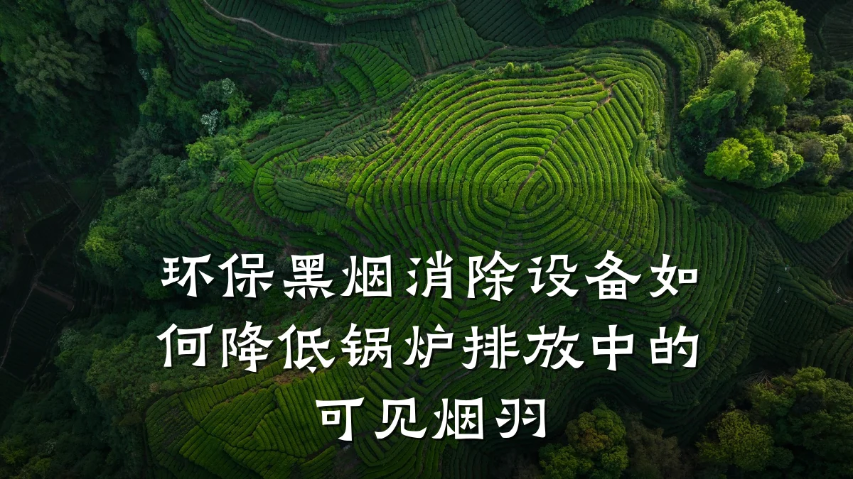 环保黑烟消除设备如何降低锅炉排放中的可见烟羽