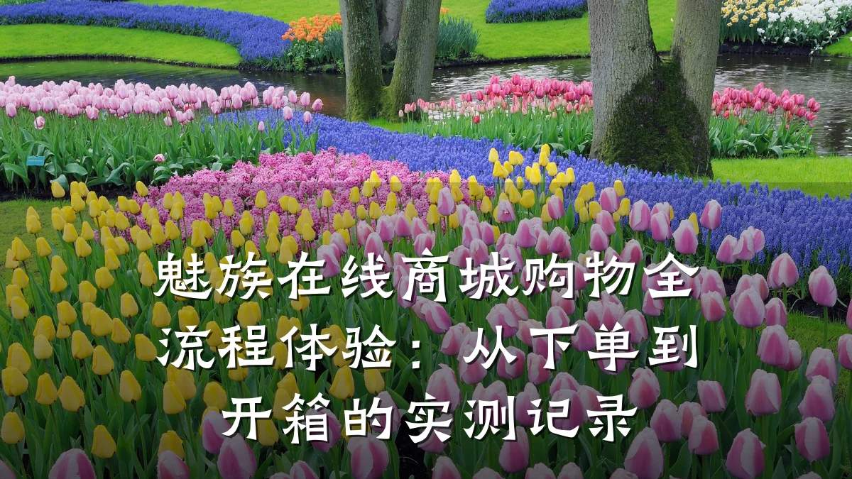 魅族在线商城购物全流程体验:从下单到开箱的实测记录
