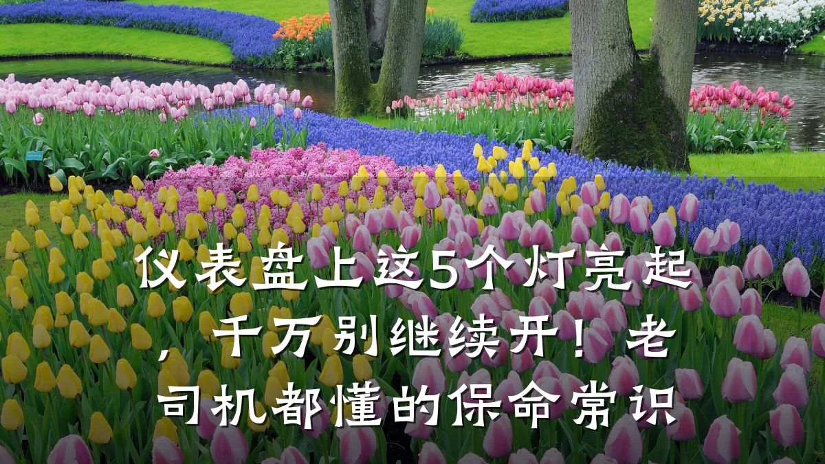 仪表盘上这5个灯亮起,千万别继续开!老司机都懂的保命常识