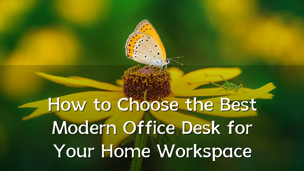 How to Choose the Best Modern Office Desk for Your Home Workspace
