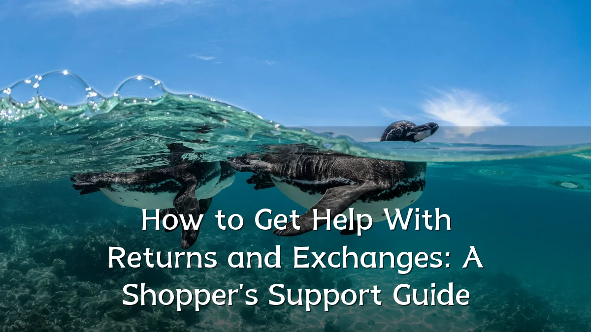 How to Get Help With Returns and Exchanges: A Shopper's Support Guide