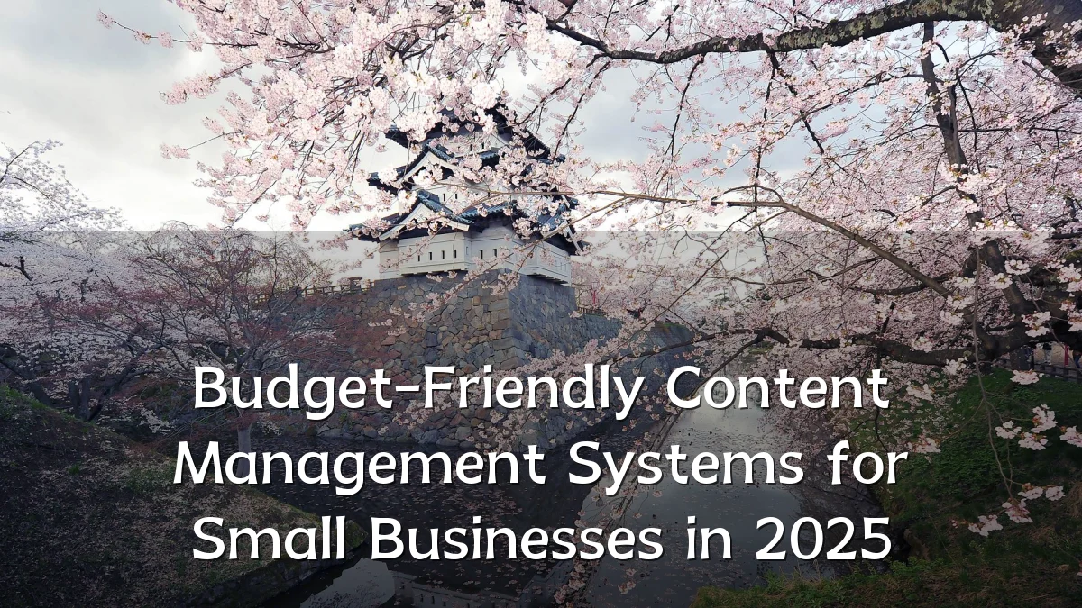 Budget-Friendly Content Management Systems for Small Businesses in 2025