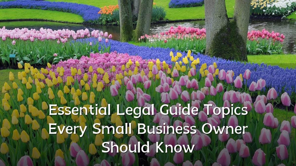 Essential Legal Guide Topics Every Small Business Owner Should Know