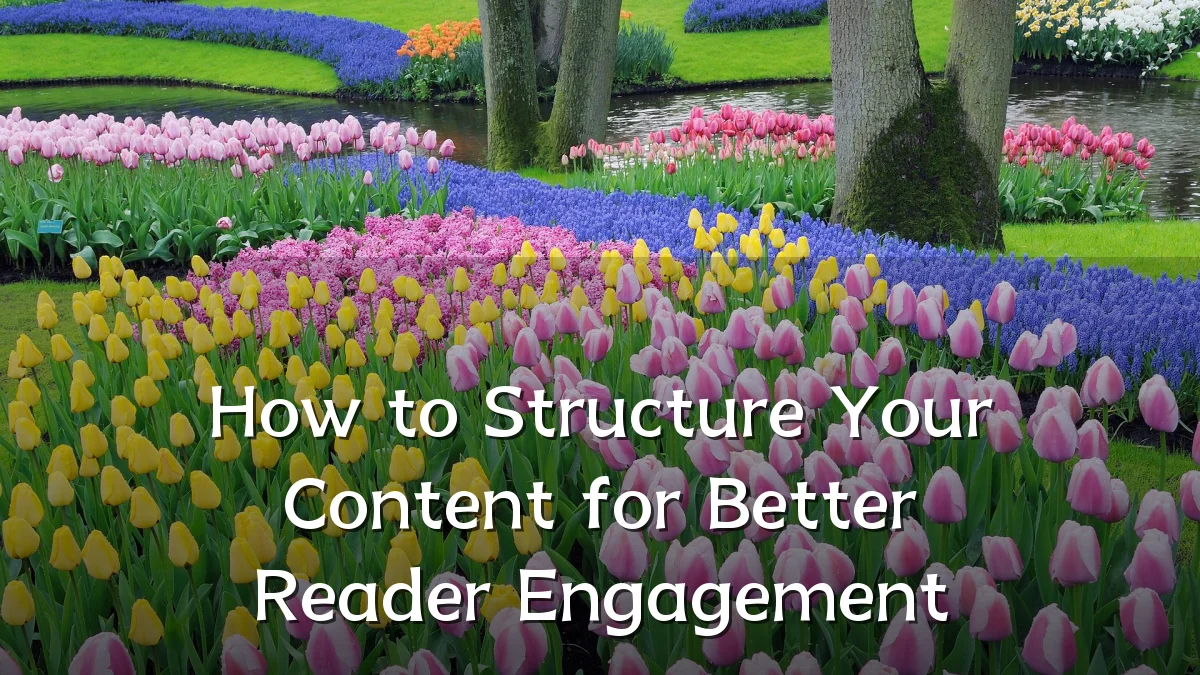 How to Structure Your Content for Better Reader Engagement