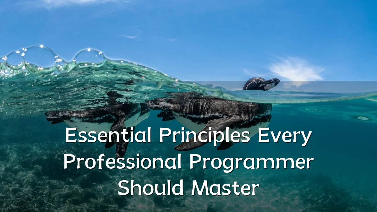 Essential Principles Every Professional Programmer Should Master