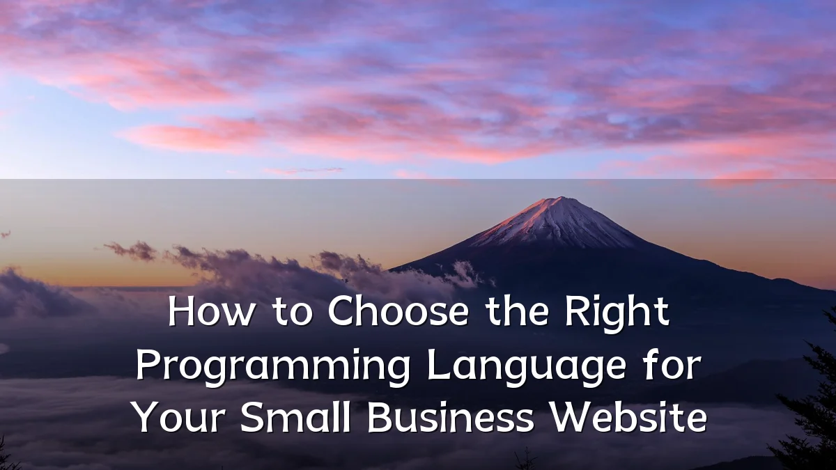 How to Choose the Right Programming Language for Your Small Business Website