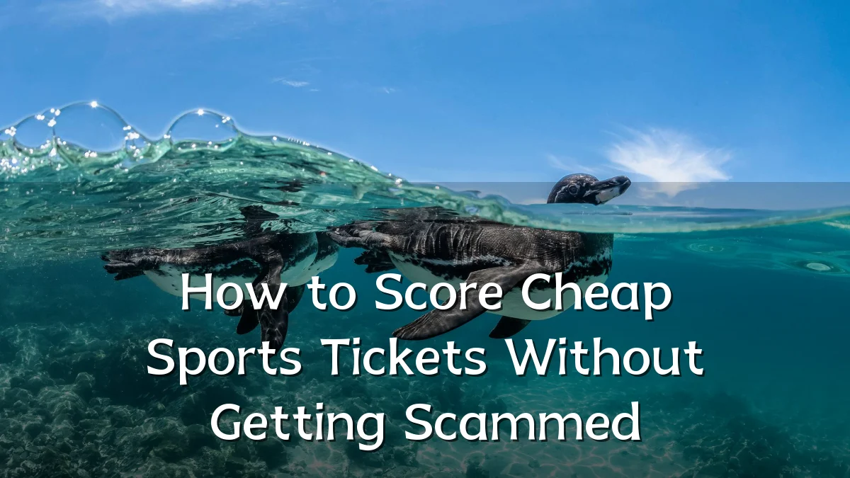 How to Score Cheap Sports Tickets Without Getting Scammed