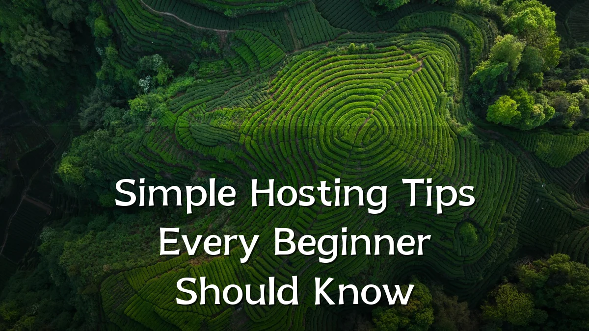 Simple Hosting Tips Every Beginner Should Know