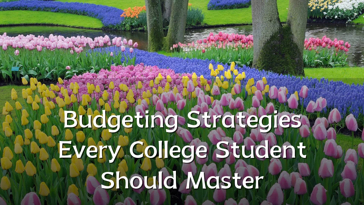 Budgeting Strategies Every College Student Should Master