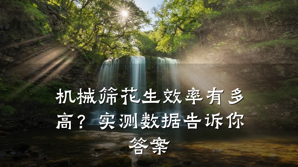 机械筛花生效率有多高？实测数据告诉你答案