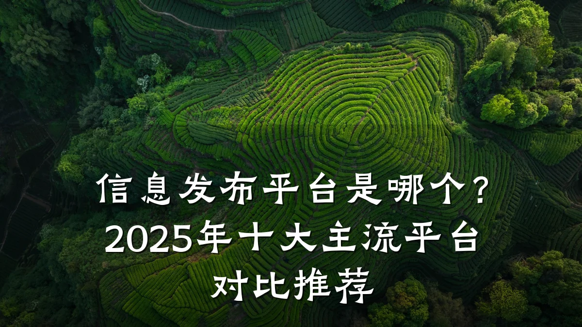 信息发布平台是哪个?2025年十大主流平台对比推荐