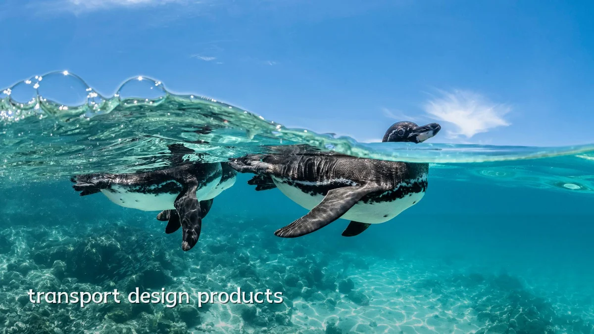transport design products
