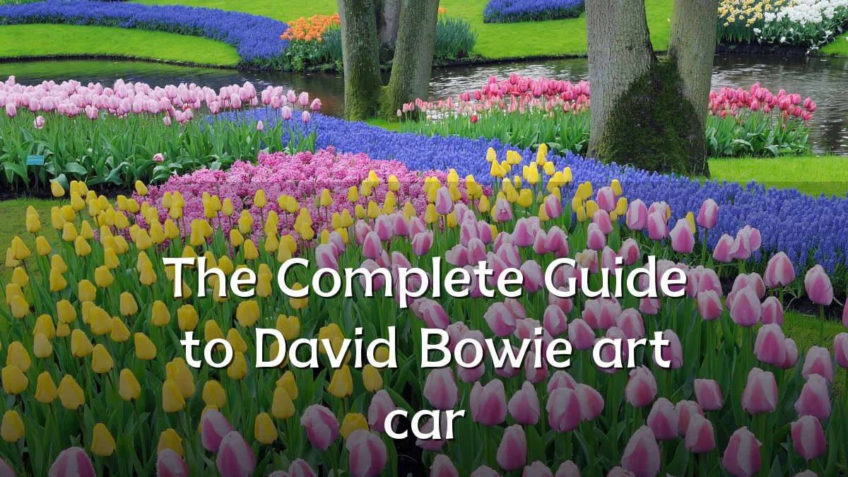 The Complete Guide to David Bowie art car