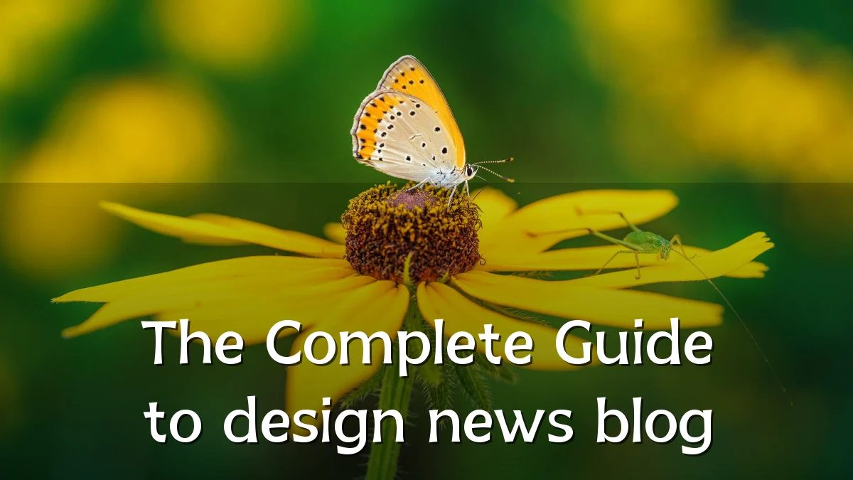 The Complete Guide to design news blog
