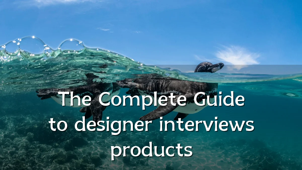 The Complete Guide to designer interviews products