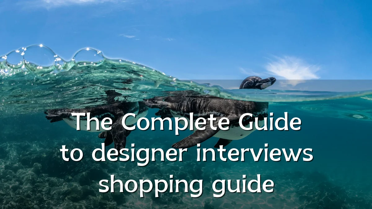 The Complete Guide to designer interviews shopping guide