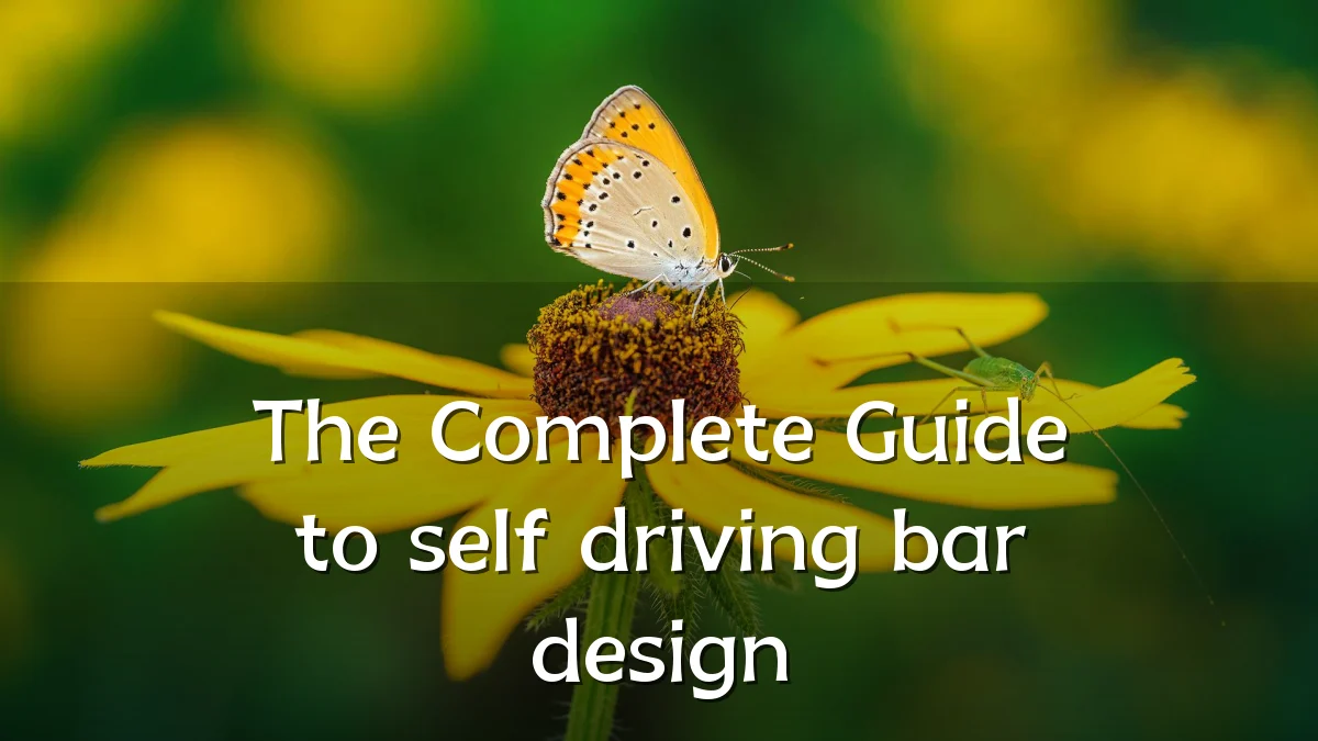 The Complete Guide to self driving bar design