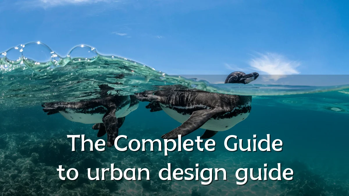 The Complete Guide to urban design guide