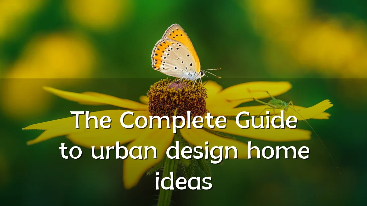 The Complete Guide to urban design home ideas