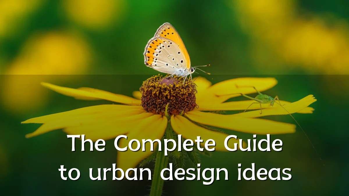 The Complete Guide to urban design ideas