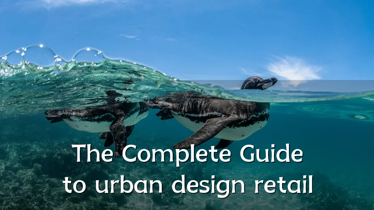 The Complete Guide to urban design retail