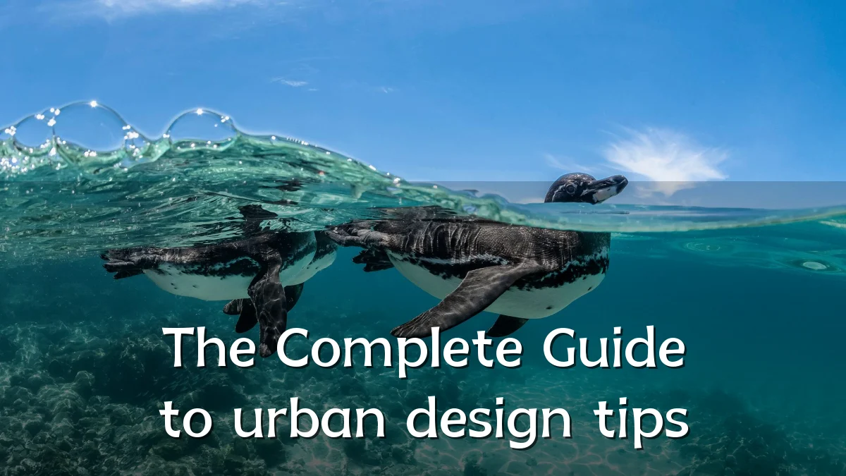 The Complete Guide to urban design tips