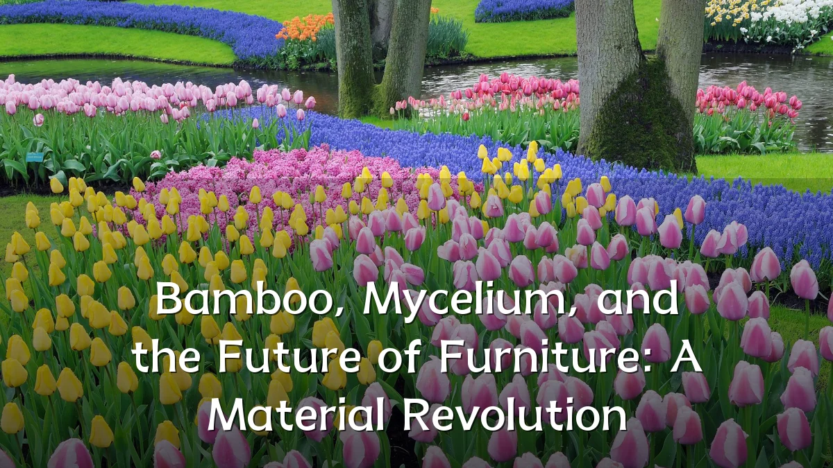 Bamboo, Mycelium, and the Future of Furniture: A Material Revolution
