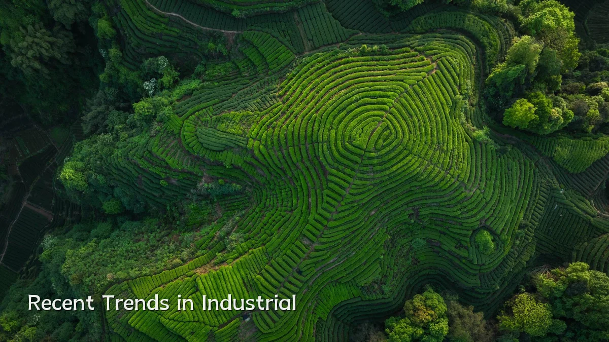 Recent Trends in Industrial
