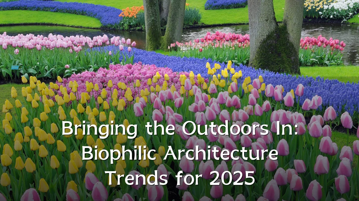 Bringing the Outdoors In: Biophilic Architecture Trends for 2025
