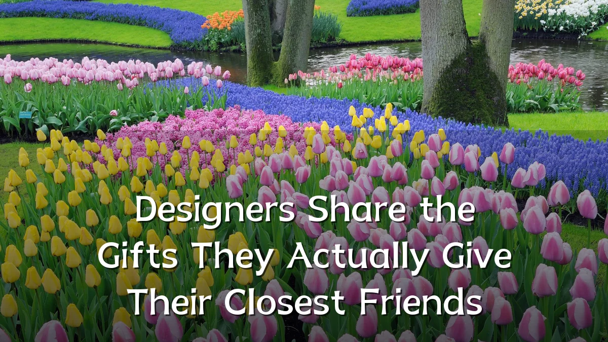 Designers Share the Gifts They Actually Give Their Closest Friends