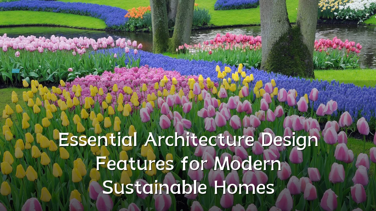 Essential Architecture Design Features for Modern Sustainable Homes