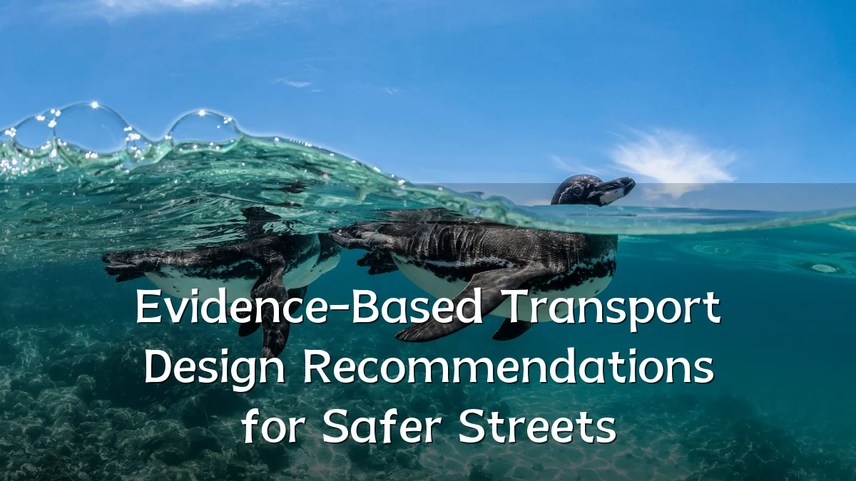 Evidence-Based Transport Design Recommendations for Safer Streets