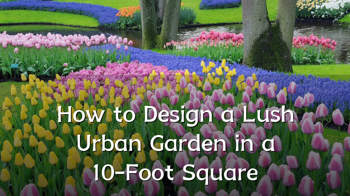 How to Design a Lush Urban Garden in a 10-Foot Square