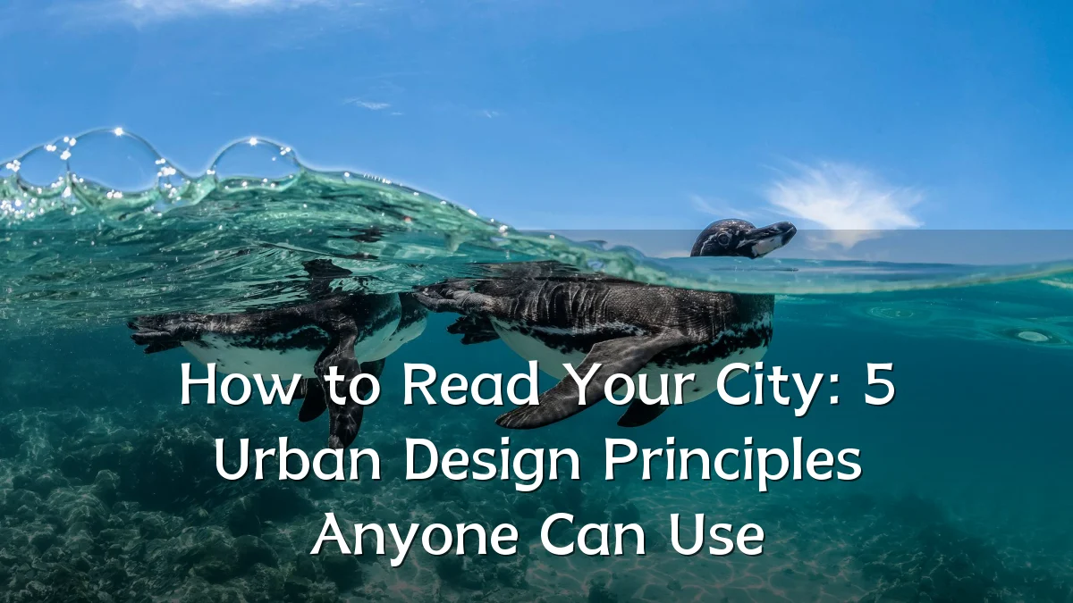 How to Read Your City: 5 Urban Design Principles Anyone Can Use