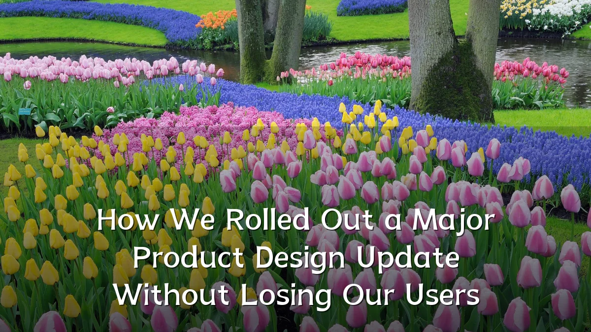 How We Rolled Out a Major Product Design Update Without Losing Our Users