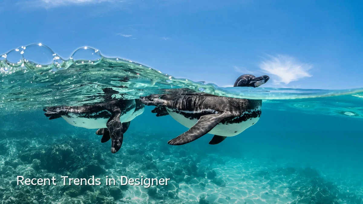 Recent Trends in Designer