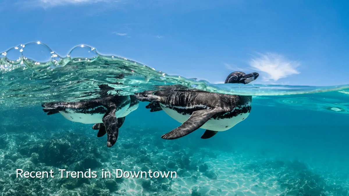 Recent Trends in Downtown