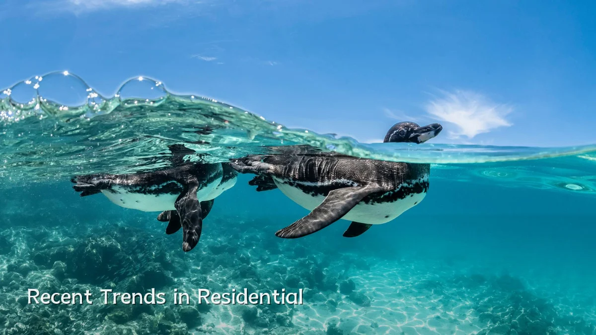 Recent Trends in Residential
