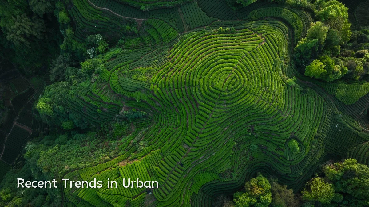 Recent Trends in Urban