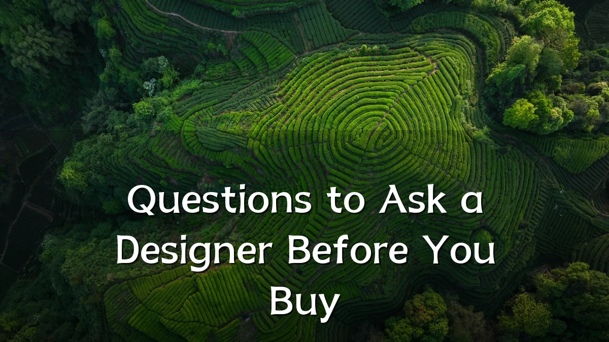 Questions to Ask a Designer Before You Buy