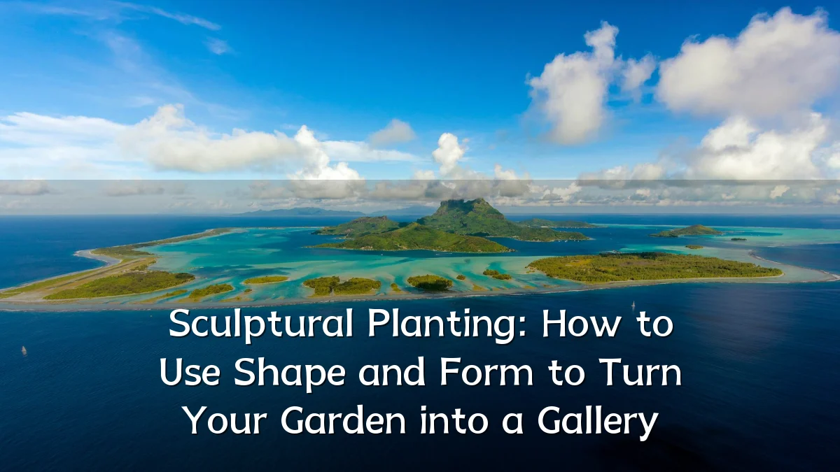 Sculptural Planting: How to Use Shape and Form to Turn Your Garden into a Gallery
